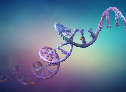 Whole Genome Bisulfite Sequencing (WGBS)